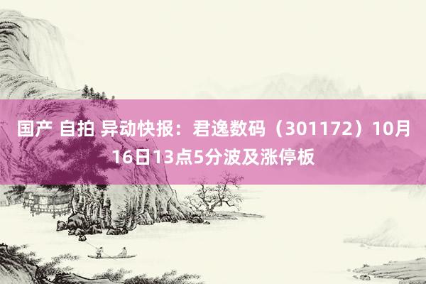 国产 自拍 异动快报：君逸数码（301172）10月16日13点5分波及涨停板