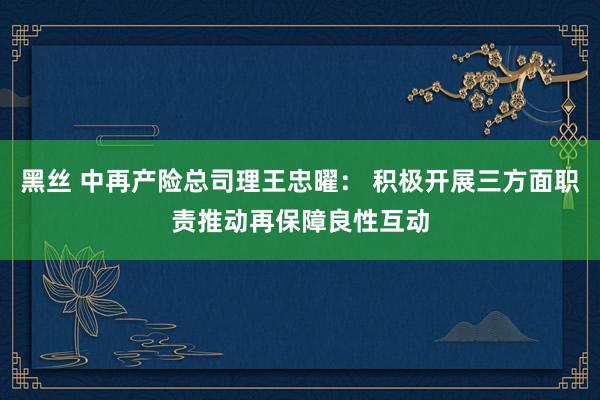黑丝 中再产险总司理王忠曜： 积极开展三方面职责推动再保障良性互动