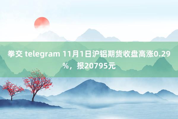 拳交 telegram 11月1日沪铝期货收盘高涨0.29%，报20795元