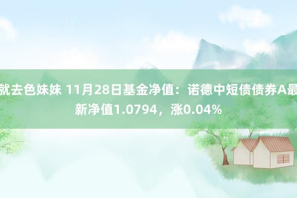 就去色妹妹 11月28日基金净值：诺德中短债债券A最新净值1.0794，涨0.04%