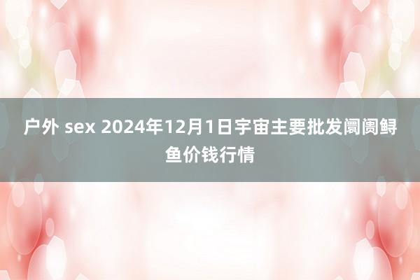 户外 sex 2024年12月1日宇宙主要批发阛阓鲟鱼价钱行情