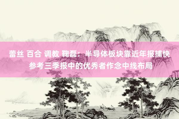 蕾丝 百合 调教 鞠磊：半导体板块靠近年报捕快 参考三季报中的优秀者作念中线布局