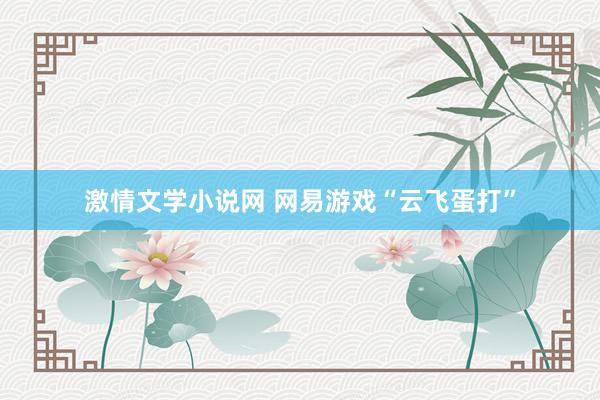 激情文学小说网 网易游戏“云飞蛋打”