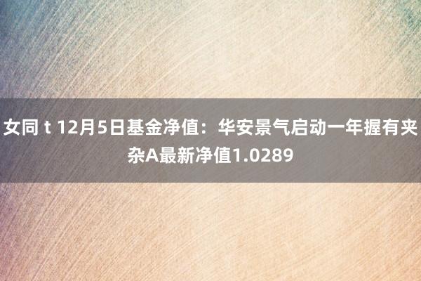 女同 t 12月5日基金净值：华安景气启动一年握有夹杂A最新净值1.0289