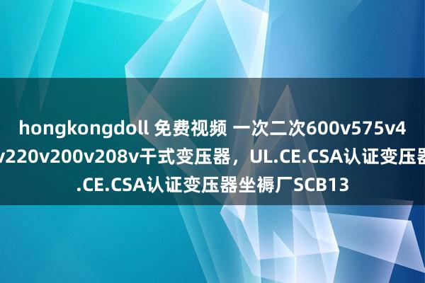 hongkongdoll 免费视频 一次二次600v575v480V400v380v220v200v208v干式变压器，UL.CE.CSA认证变压器坐褥厂SCB13