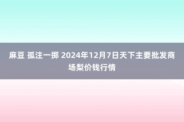 麻豆 孤注一掷 2024年12月7日天下主要批发商场梨价钱行情