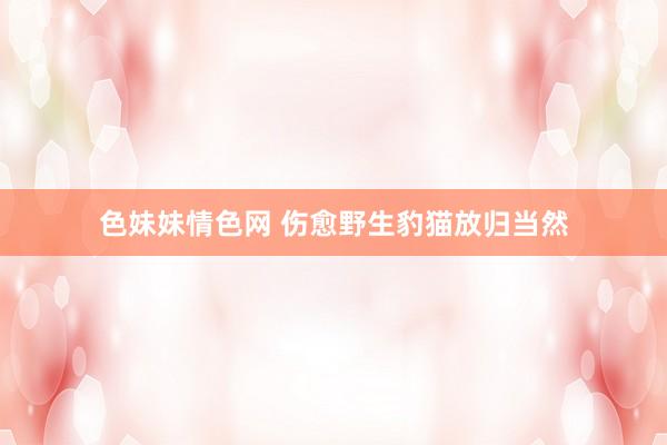 色妹妹情色网 伤愈野生豹猫放归当然