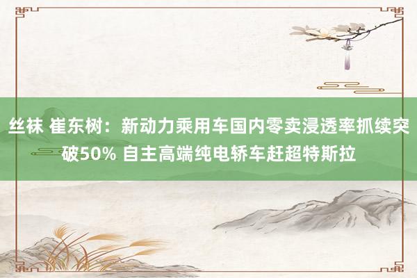 丝袜 崔东树：新动力乘用车国内零卖浸透率抓续突破50% 自主高端纯电轿车赶超特斯拉