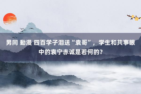 男同 動漫 四百学子泪送“袁哥”，学生和共事眼中的袁宁赤诚是若何的？