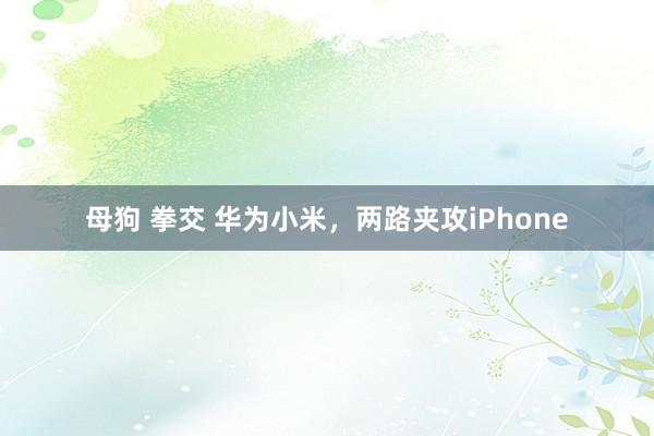母狗 拳交 华为小米，两路夹攻iPhone