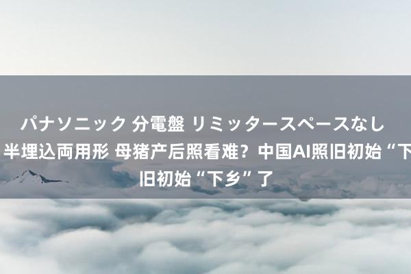 パナソニック 分電盤 リミッタースペースなし 露出・半埋込両用形 母猪产后照看难？中国AI照旧初始“下乡”了