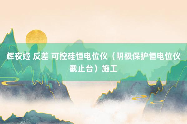 辉夜姬 反差 可控硅恒电位仪（阴极保护恒电位仪截止台）施工