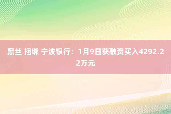 黑丝 捆绑 宁波银行：1月9日获融资买入4292.22万元