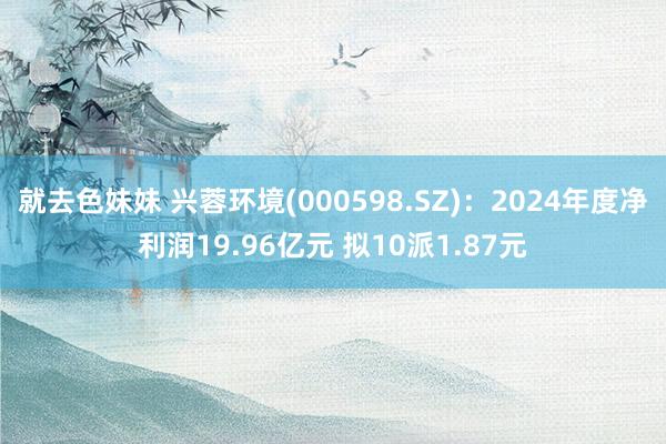 就去色妹妹 兴蓉环境(000598.SZ)：2024年度净利润19.96亿元 拟10派1.87元