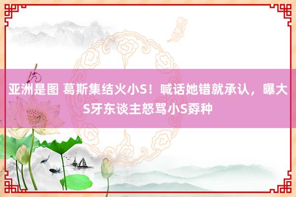 亚洲是图 葛斯集结火小S！喊话她错就承认，曝大S牙东谈主怒骂小S孬种